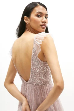 Coast Sequin Bodice Frill Sleeve Maxi Dress -Coast Sales Store acc00793 blush xl 1