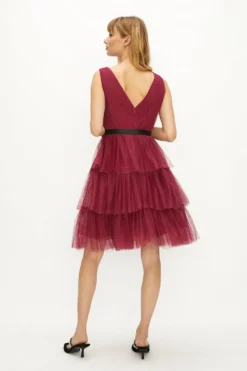 Coast Mesh Tiered Mini Dress -Coast Sales Store acc02173 berry xl 2