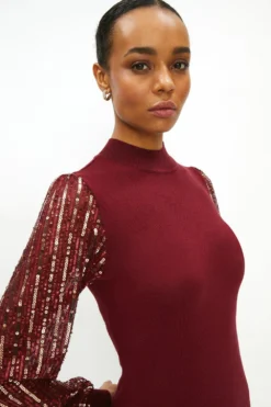 Coast Sequin Sleeve Jumper Dress -Coast Sales Store acc02811 berry xl 1