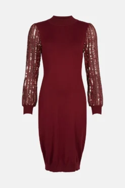 Coast Sequin Sleeve Jumper Dress -Coast Sales Store acc02811 berry xl 3