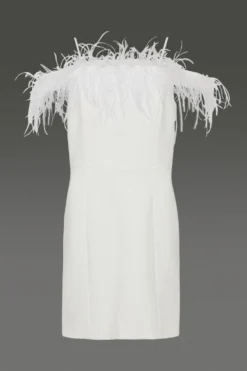 Coast Feather Trim Bardot Mini Dress -Coast Sales Store bcc01126 ivory xl 5