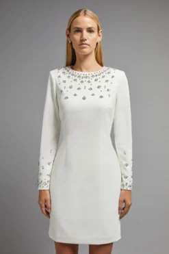 Coast Premium Embellished Pencil Dress