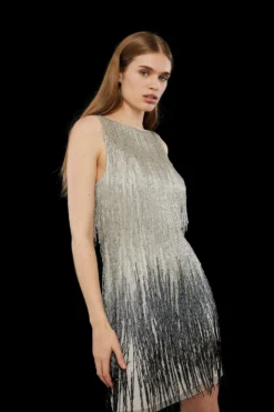 Coast Premium Rainbow Embellished Fringe Mini Dress