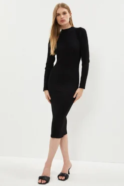 Coast Long Sleeve Funnel Neck Dress