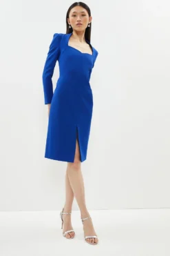 Coast Premium Panelled Bodycon Dress
