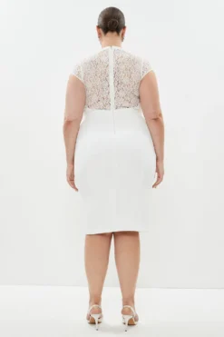 Coast Plus Size Premium Lace Back Pencil Dress -Coast Sales Store bcc01794 ivory xl 2