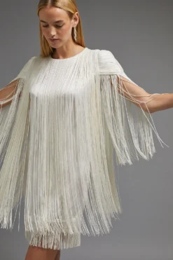 Coast Premium Statement Fringe Detail Mini Dress