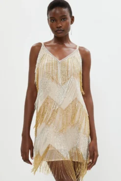 Coast Embellished Fringe Two Tone Mini Dress