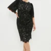 Coast Plus Size Lace Flare Sleeve Pencil Dress