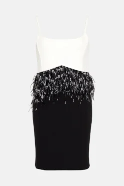 Coast Premium Feather Trim Mini Dress -Coast Sales Store bcc02875 mono xl 3