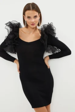 Coast Frill Detail Knitted Mini Dress