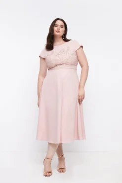 Coast Plus Size Lace Dress With Circular Skirt