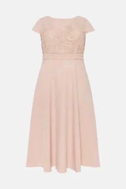 Coast Plus Size Lace Dress With Circular Skirt -Coast Sales Store bcc03296 blush xl 3