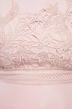 Coast Plus Size Lace Dress With Circular Skirt -Coast Sales Store bcc03296 blush xl 5