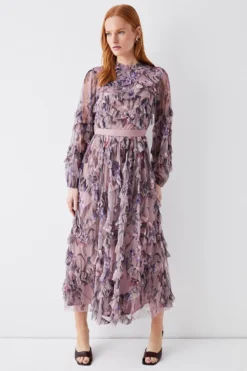 Coast Diamond Ruffle High Neck Mesh Dress