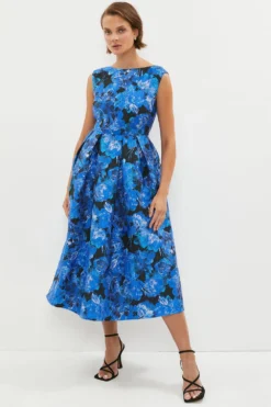 Coast Jacquard Dress With V Back
