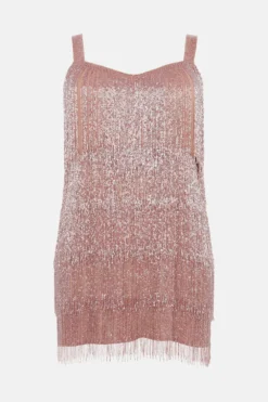 Coast Plus Premium Embellished Fringe Mini Dress -Coast Sales Store bcc03945 rose20gold xl 3