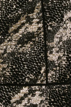 Coast Julie Kuyath Jacquard Mini Dress -Coast Sales Store bcc03965 gold xl 4 scaled