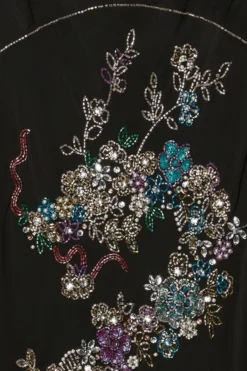 Coast Julie Kuyath Embellished Dragon Corset Slip Dress -Coast Sales Store bcc03970 black xl 5 scaled