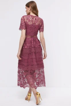 Coast Lace Mix Midi Dress -Coast Sales Store bcc03999 rose xl 4