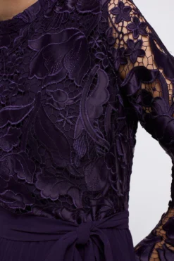 Coast Long Sleeve Scallop Lace Bodice Pleat Skirt Dress -Coast Sales Store bcc04293 fig xl 4