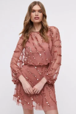 Coast Hand Embellished Mini Dress