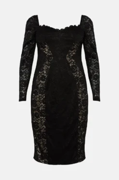 Coast Plus Size Lace Bodycon Dress With Seams -Coast Sales Store bcc04915 black xl 3