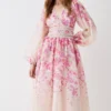 Coast Organza Floral Placement Lace Trim Midaxi Dress
