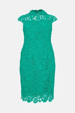 Coast Plus Size Lace Pencil Dress With Applique Neckline -Coast Sales Store bcc05201 green xl 3